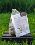 Spray and Grow Mushroom Kit - Blue Oyster