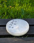 Petri dish cultures