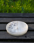 Petri dish cultures